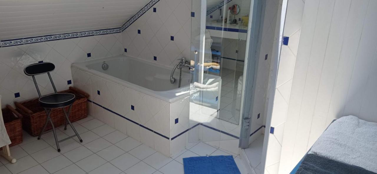 2 Chambres Et Salle De Bain Un Oasis De Bien Etre Piscine Et Jardin Direct Gare Aeroport Toulouse Exterior photo